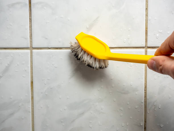 Bonham, TX Mold Removal Company