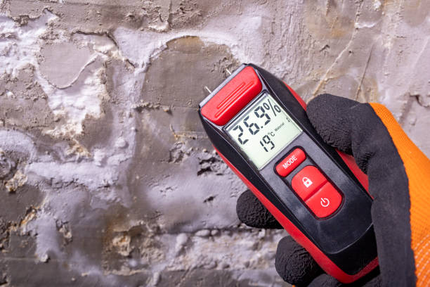 Best Professional Mold Removal  in Bonham, TX
